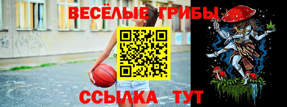 Жигулёвск  Галлюциногенные грибы ЛСД  дарнет шоп  Вход с VPN 